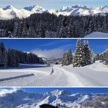 Studio Cabine Praz De Lys Taninges Exterior photo