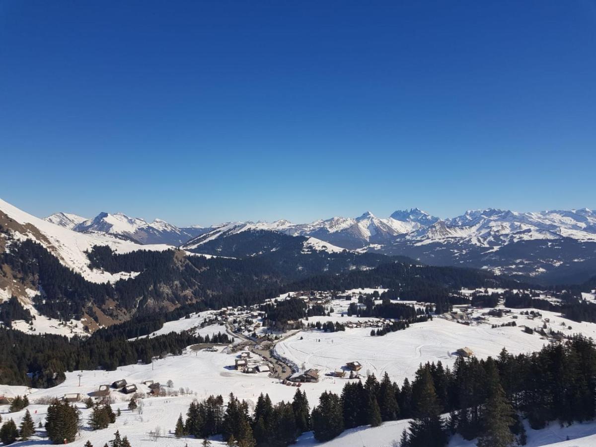 Studio Cabine Praz De Lys Taninges Exterior photo
